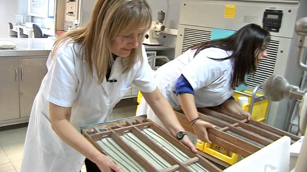 Un Cafe En La Oficina HARICANA