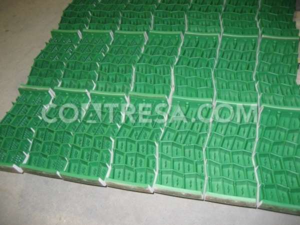 fluoropolymer-coating